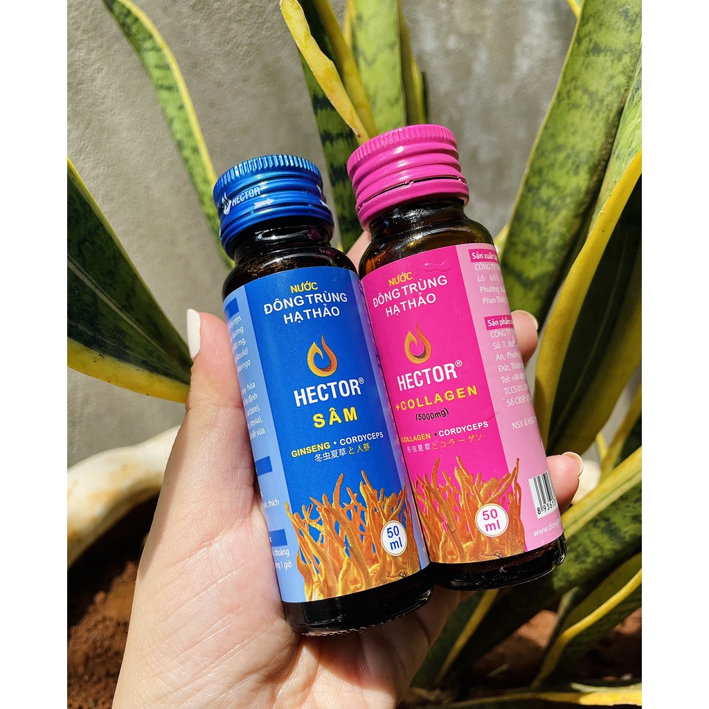 Combo Nước Đông trùng hạ thảo Hector Collagen và Hector Sâm