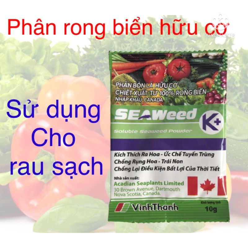 Phân bón lá Hữu cơ rong biển gói 10g nhập khẩu Canada dưỡng cây mập thân dày lá, sai hoa, lớn quả dùng cho rau sạch