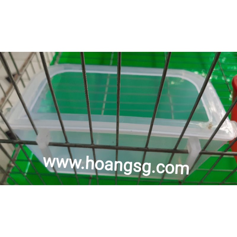 Máng ăn,máng uống, chống bơi mốc cho bồ câu,chim,gà