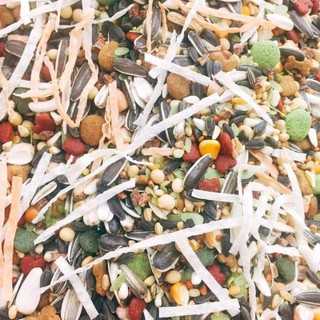 Thức ăn cao cấp hỗn hợp loại siêu ngon 500gr cho Hamster, Sóc...