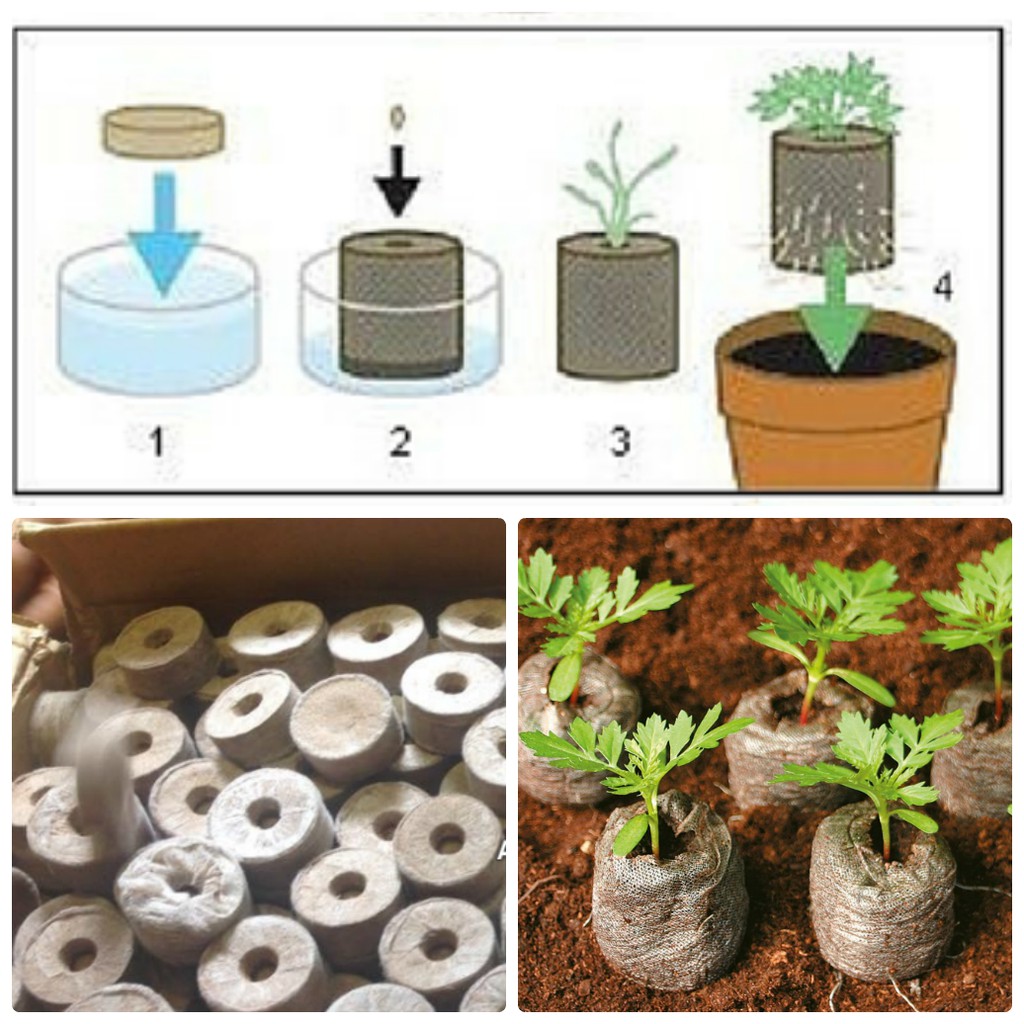 Bộ 25 / 50 viên nén ươm hạt
