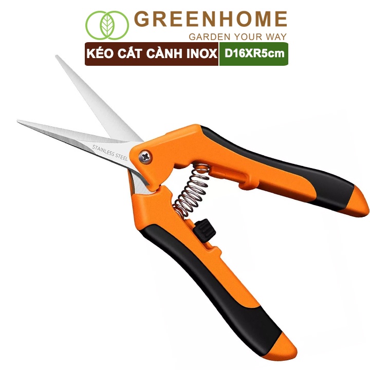 Kéo cắt cành, D15,5xR4,5cm, inox, mũi nhọn, màu đỏ, siêu bén, không gỉ, có khoá an toàn |Greenhome