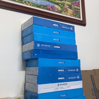 Bể bơi cho bé doctor dolphin