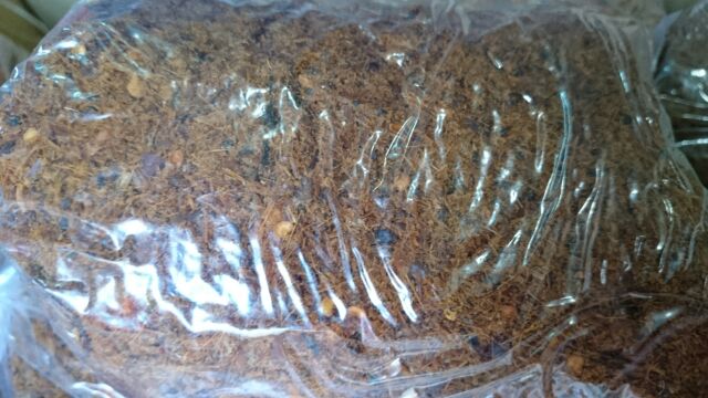 Khô bò sả vụn xay | BigBuy360 - bigbuy360.vn