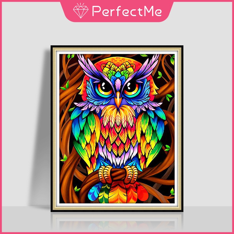 Bộ Tranh Đính Đá 5D Tự Làm Hình Chim Cú 40X50CM