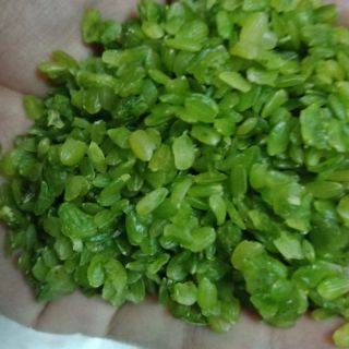 Cốm tú lệ Đặc sản yên bái.