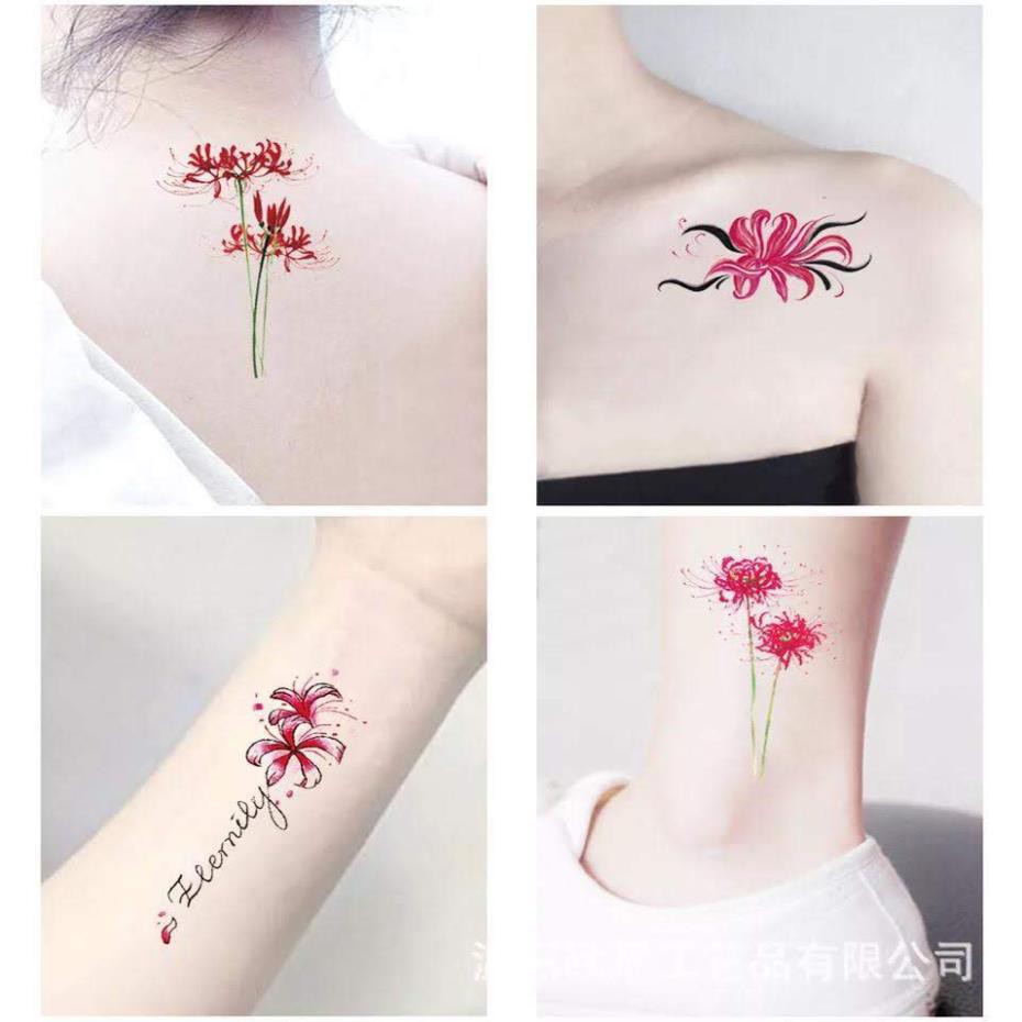 !!  Hình săm dán mẫu hoa bỉ ngạn