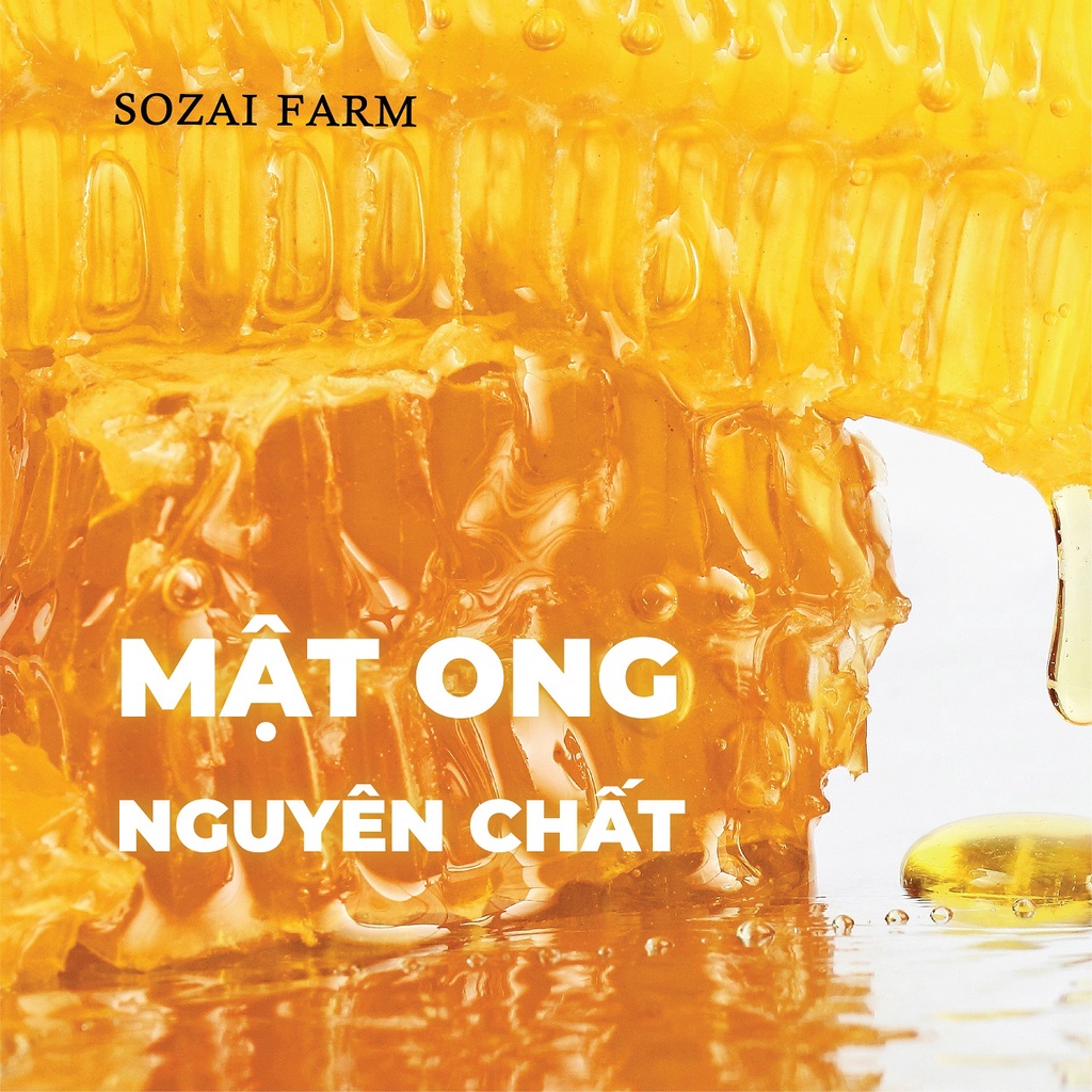 Lotion dưỡng ẩm, sáng da, mờ thâm chiết xuất mật ong Nhật Bản Honey Moisture 180ml