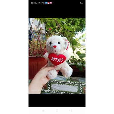 Gấu bông teddy gói quà 20/10