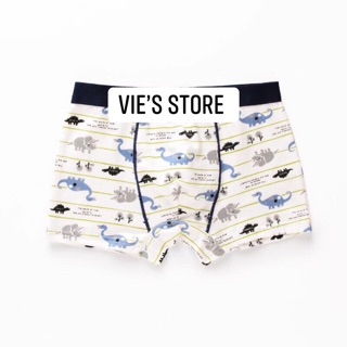 Sét 10 quần chip bé trai 10-48kg