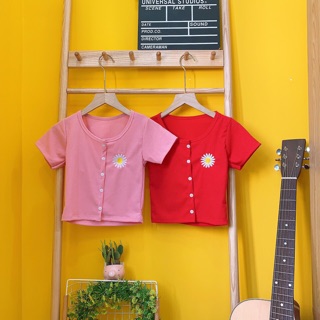 Áo croptop phối nút thêu hoa cúc