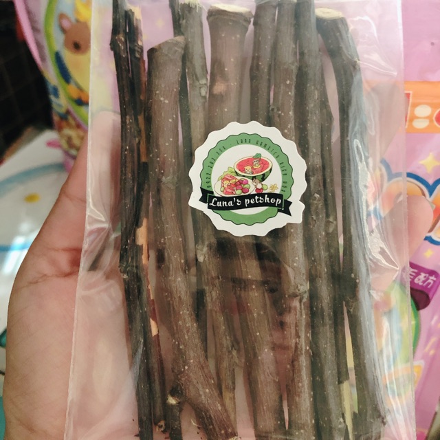 Cành táo, mài răng hamster, sóc, thỏ, bọ...