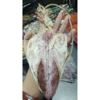 1 con Khô Mực Nha Trang 50g