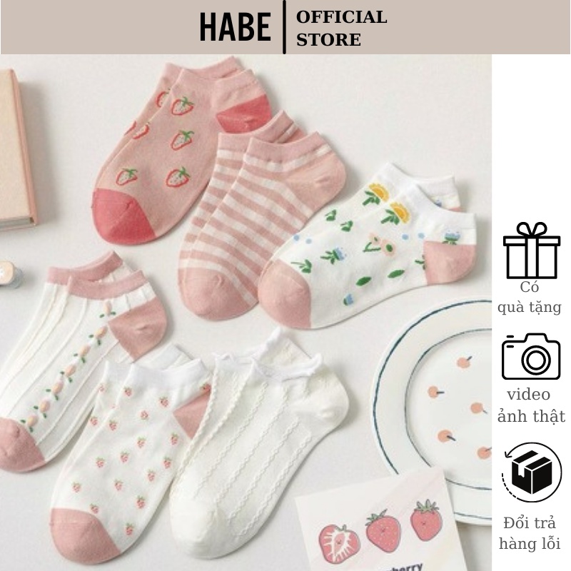 Set 6 đôi tất vớ nữ cotton Hàn Quốc cổ ngắn khử mùi thông hơi hoạ tiết cute dễ thương HABE TV02