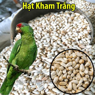 1kg Hạt Kham Trắng Giàu Dinh Dưỡng Cho Chim-Vẹt