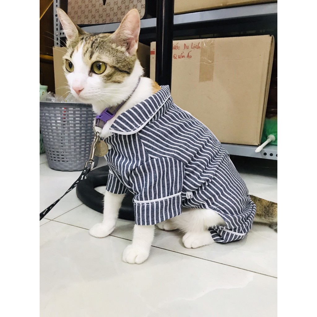 ÁO CHÓ MÈO - BỘ PIJAMA 4 CHÂN DỄ THƯƠNG