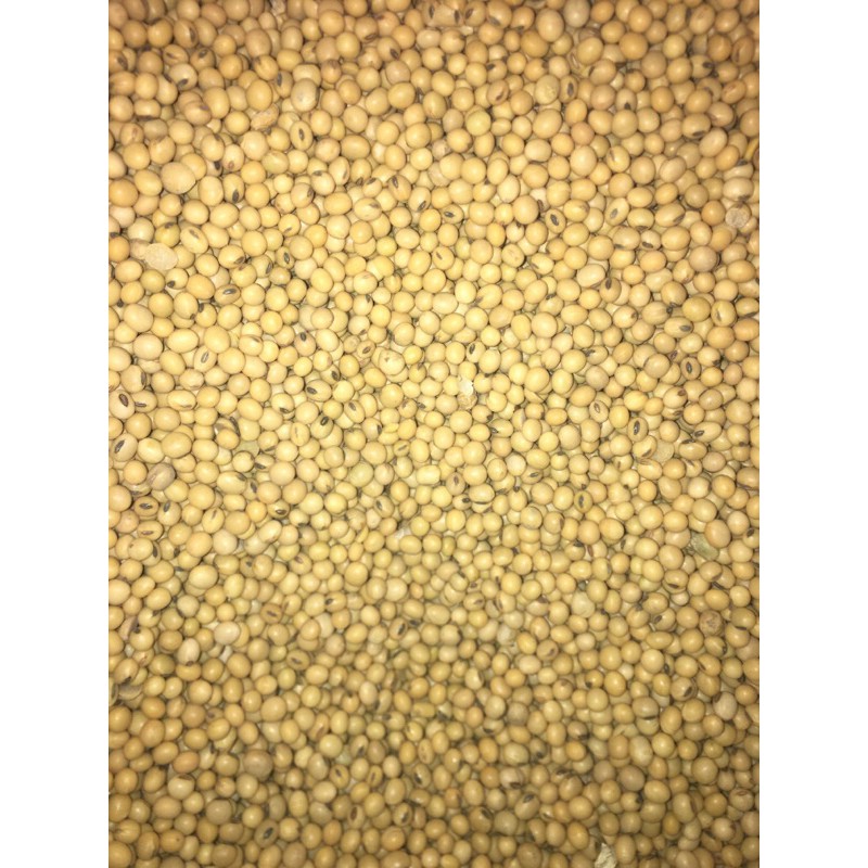 Đỗ tương (Đậu nành)  Canada 500 gram - 1 kg