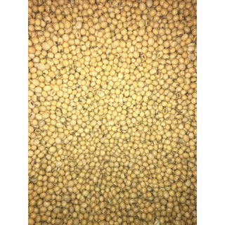 Đỗ tương canada 500 gram - 1 kg