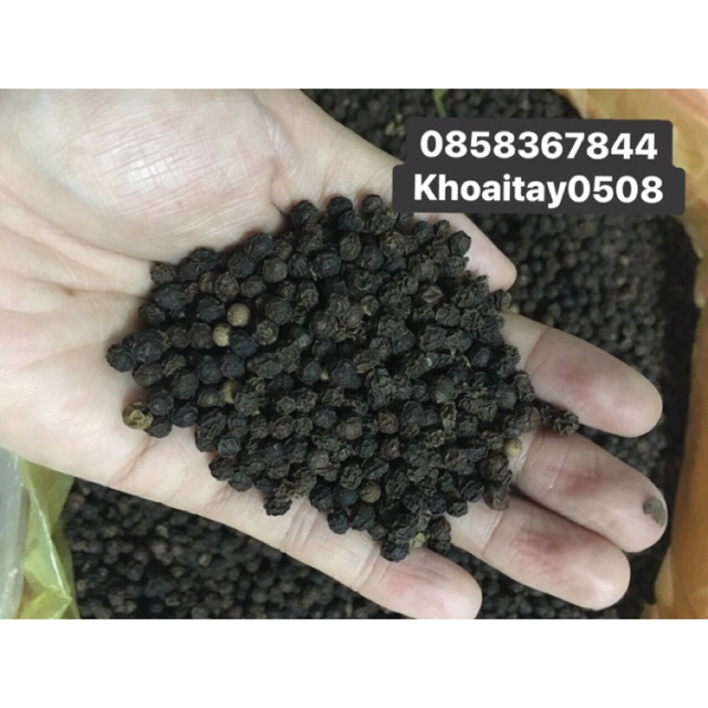Hạt tiêu đen Lâm Đồng