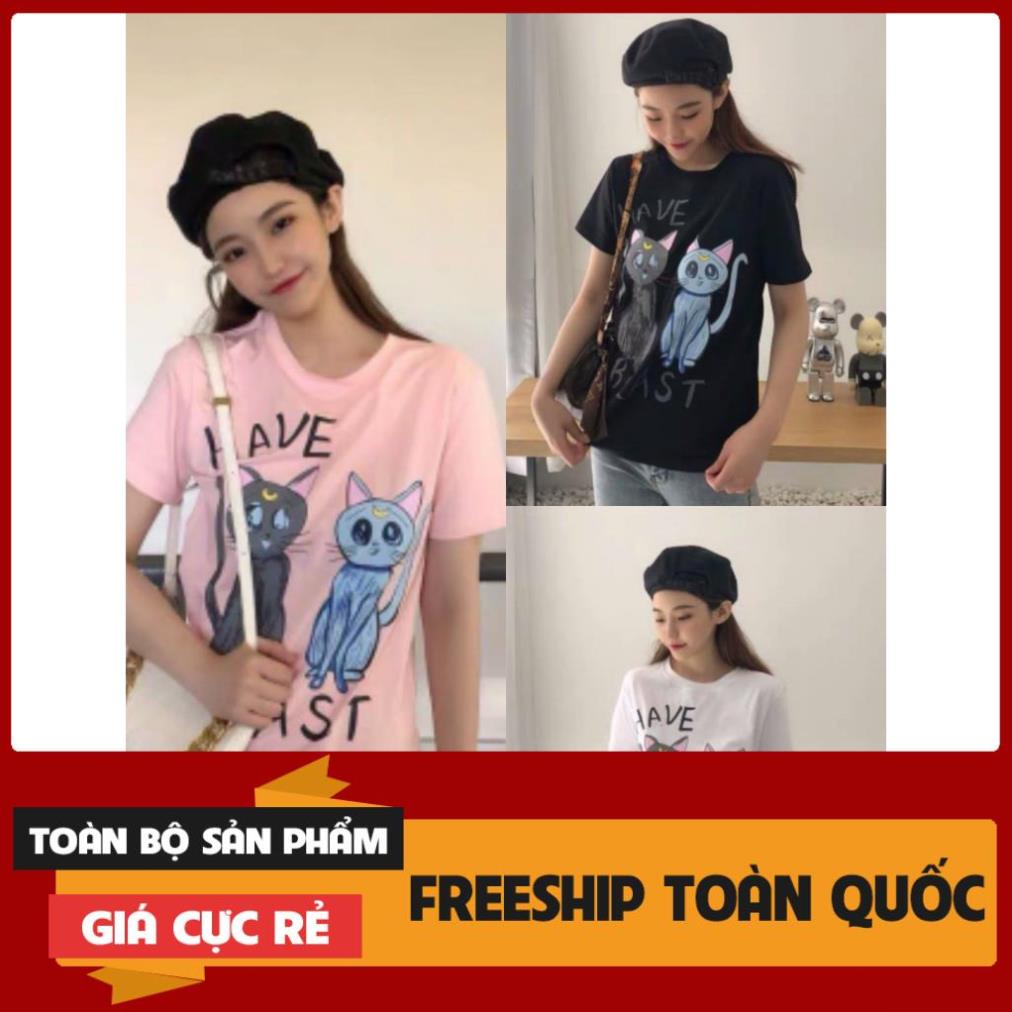 Áo Phông Nữ Hình Mèo 3D , Cộc Tay Cotton Túi Zip 3 Màu Q018