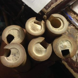 Động tiêu (Bắc) tone c4