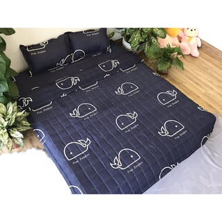 Bộ ga gối 3 món poly giường 1m2 mẫu cá heo