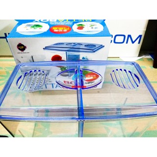 Bể nuôi cá chọi Betta box