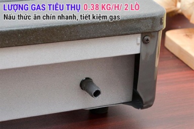 Bếp gas đôi Rinnai RV-377 (G)N