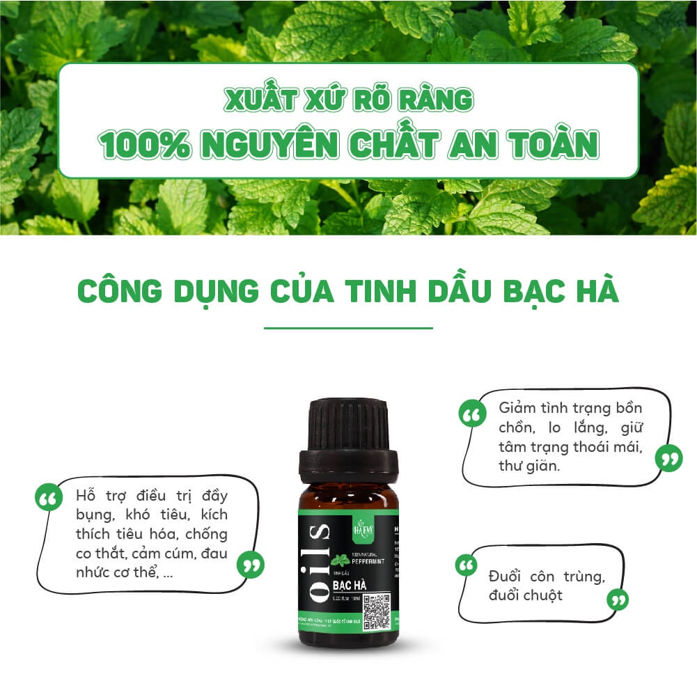 Tinh dầu Xông Bạc Hà Haeva Cao Cấp, 100% Thiên Nhiên, giúp khử mùi, thanh lọc không khí, đuổi chuột,Chai 10ml/30m/100ml