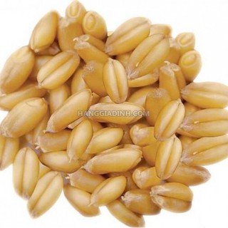 1KG LÚA MỲ ĐÃ TÁCH VỎ