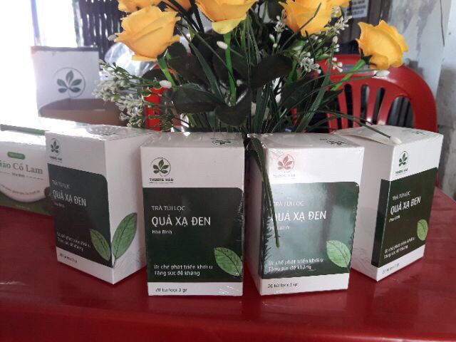 Trà túi lọc quả xạ đen đạt chuẩn GMP-WHO (20 gói x 3gr)