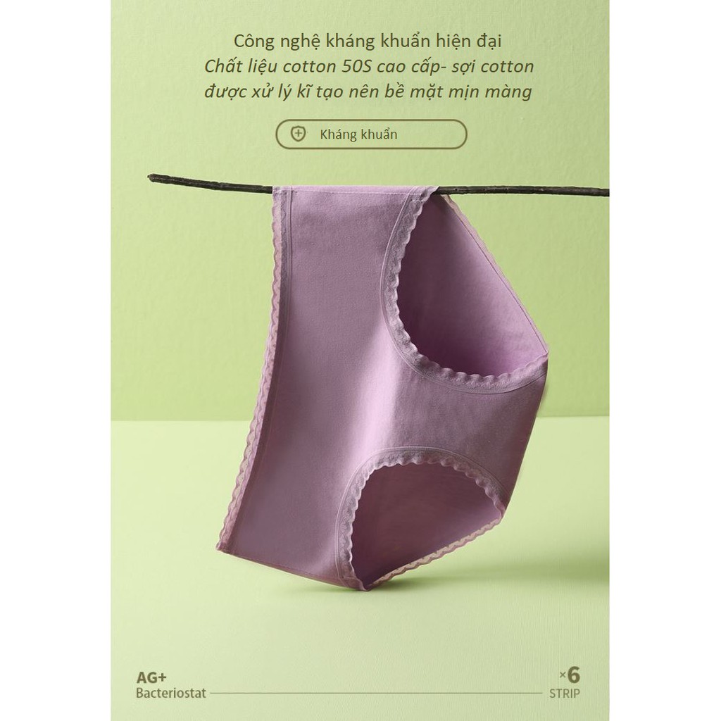 Quần Lót Cotton Mịn Kháng Khuẩn Viền Ren Phong Cách Nhật Bản P414