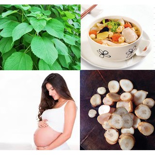 [Hàng Công Ty] - Củ gai tươi an thai