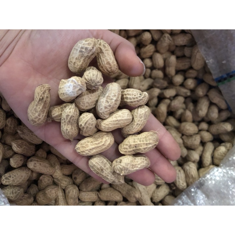 Lạc bóc tay Điện Biên
