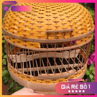 LỒNG CU GÁY ĐAN