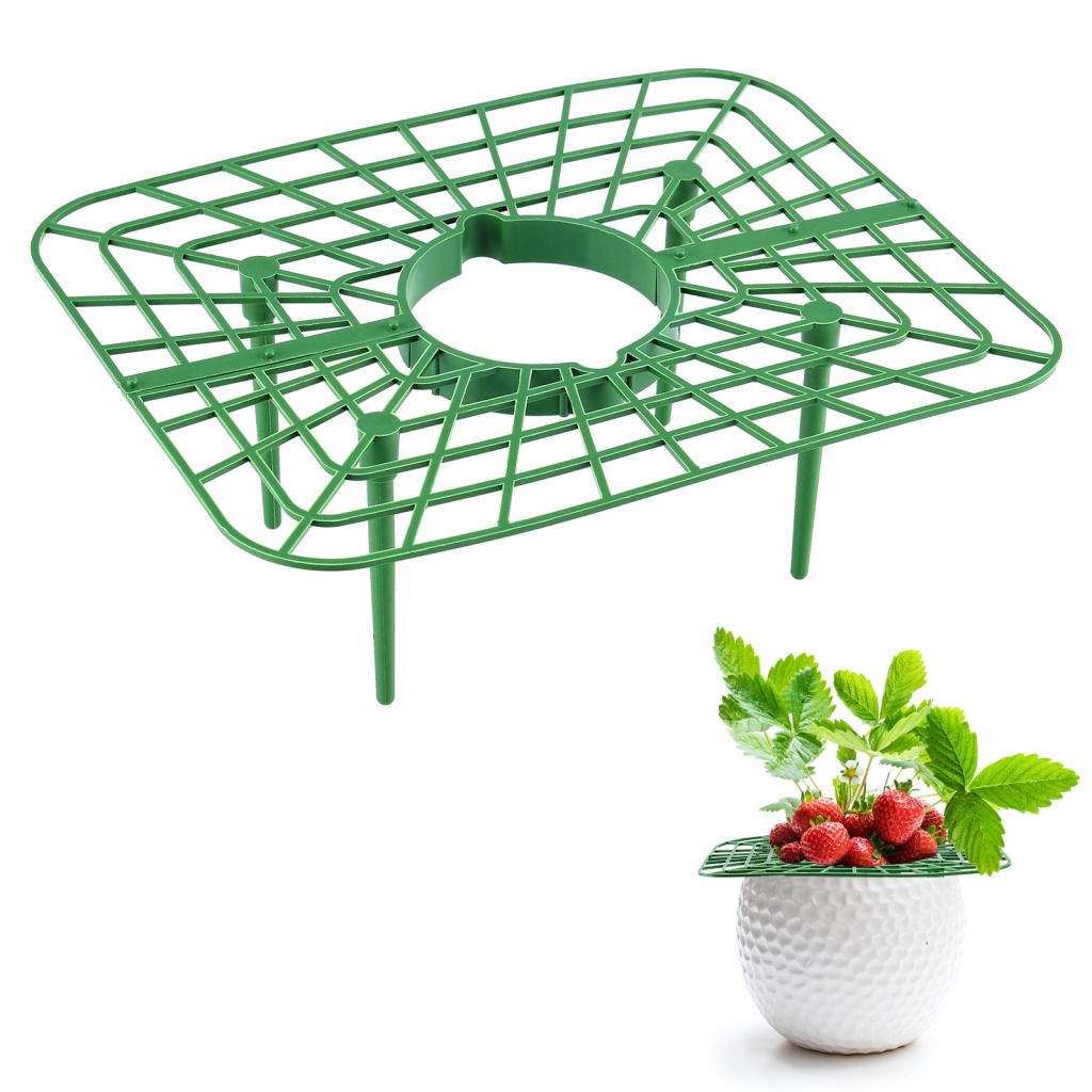 Giá Đỡ Hỗ Trợ Trồng Dâu Tây Bằng Nhựa 20 X 25Cm