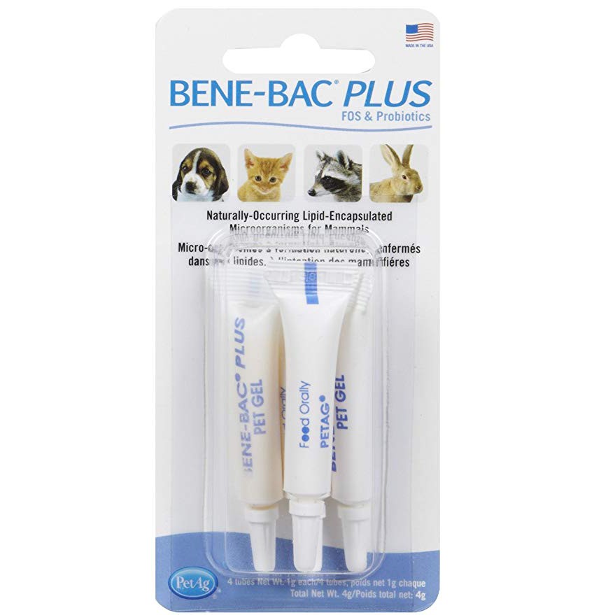 CHUYÊN SỈ - MEN TIÊU HÓA NHẬP KHẨU MỸ - BENE BAC PLUS CHO CHÓ MÈO (1 VỈ 4 TUÝP)