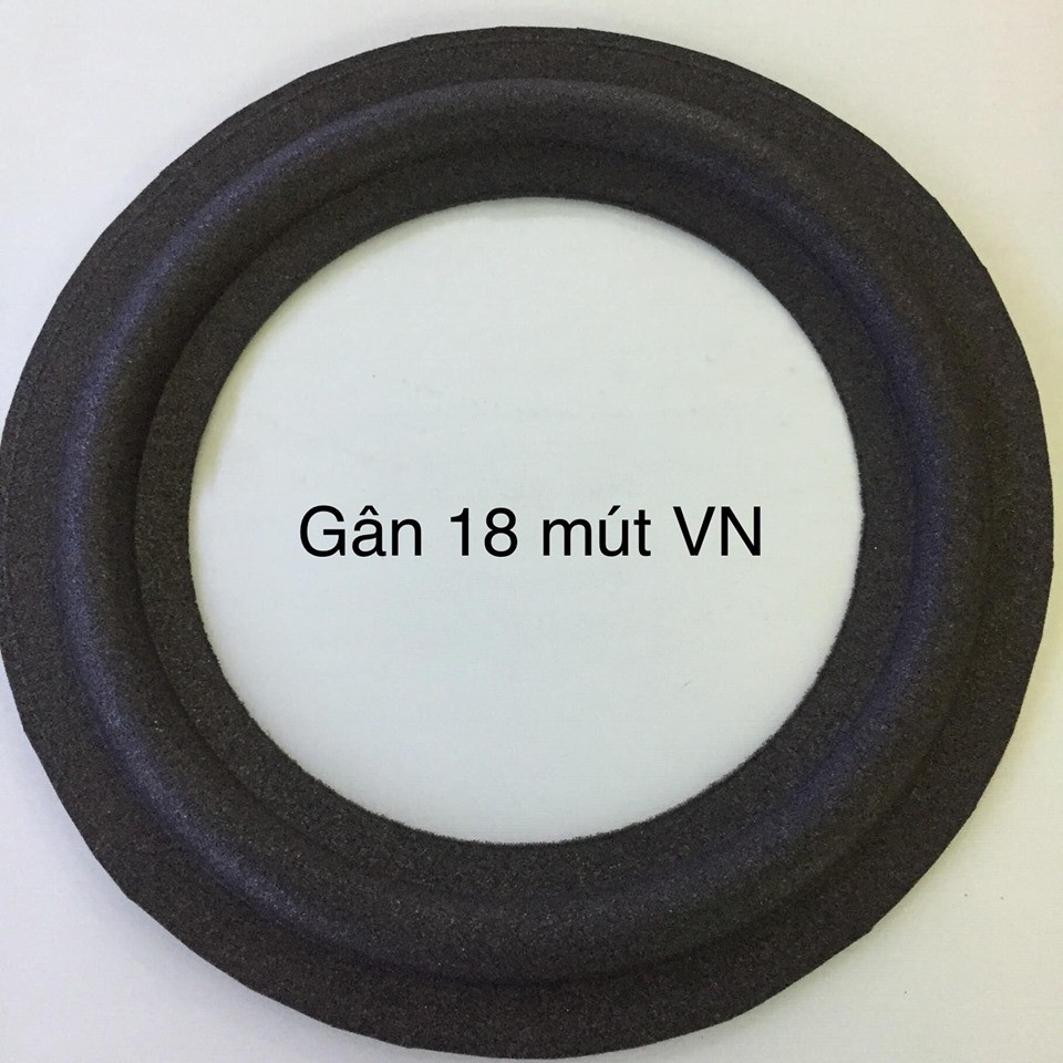 Gân loa bass 18 F việt nam .