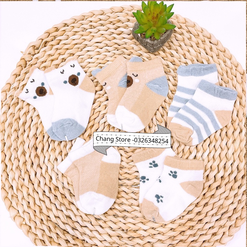 Set 5 Đôi Vớ/ Tất Cotton Thông Hơi Cho Bé 1M+