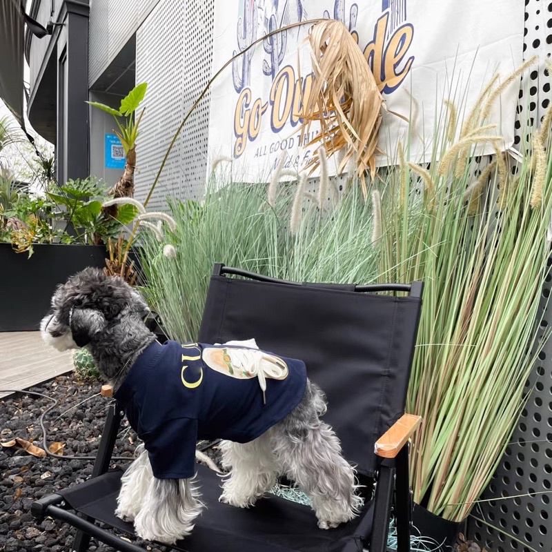 ÁP THUN GUCCl DÉP cho chó mèo