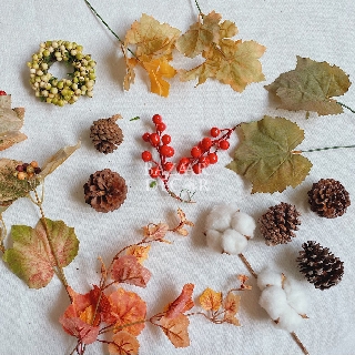 Set phụ kiện chụp ảnh sản phẩm 9 món - Leaf Autumn