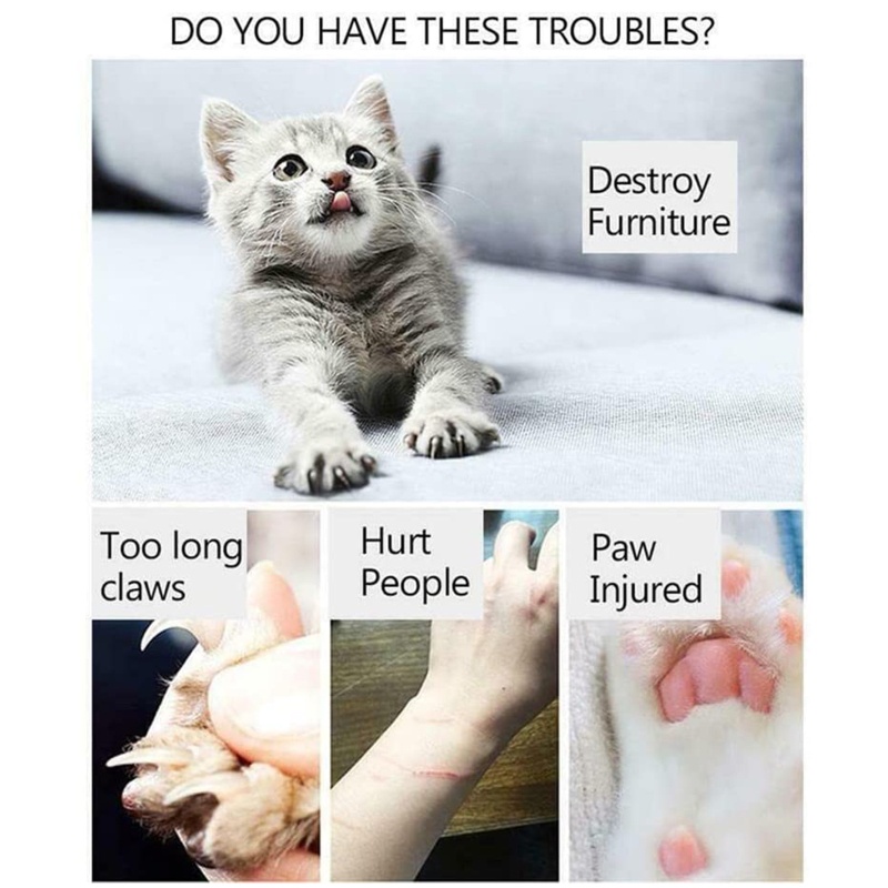 Bảng Cào Móng Mèo May Mắn Kèm Đồ Nội Thất Bảo Vệ