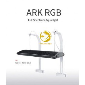 Chân đèn WEEK RAPTOR WRGB - 2 chân dẹt cao cấp