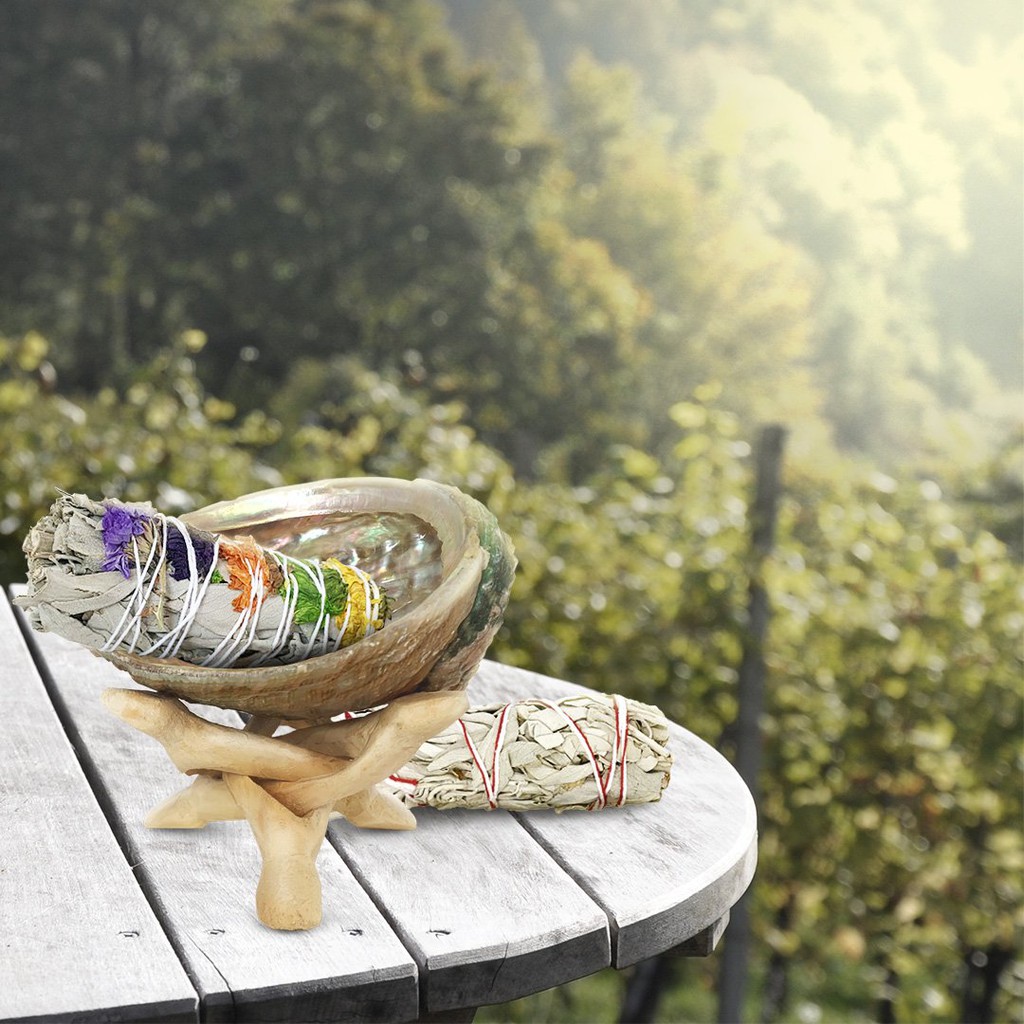 LÔNG VŨ ( Gà Tây, Đại Bàng ), CHÂN ĐẾ GỖ, VỎ SÒ ( Đĩa Ốc ) Dụng Cụ Đốt Thanh Tẩy - THẢO MỘC XÔNG NHÀ | BigBuy360 - bigbuy360.vn