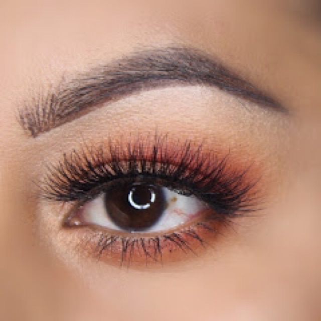 🦀Bảng phấn mắt Morphe 9C Jewel Crew Eyeshadow Palette