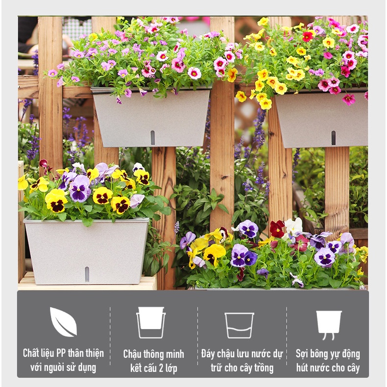 Chậu cây treo ban công Oliz SC201. Chậu trồng cây thông minh tự tưới