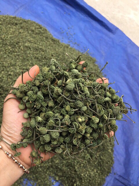 500Gr nụ hoa tam thất bao tử đã sao khô hàng loại 1