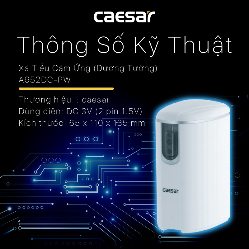 Bộ Xả Cảm Ứng Tiểu Nam CAESAR A652DC