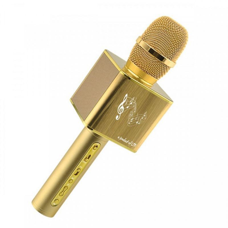 Micro Karaoke Bluetooth Kèm Loa LTP YS12 hỗ trợ chức năng hát song ca - Bảo hành 06 tháng