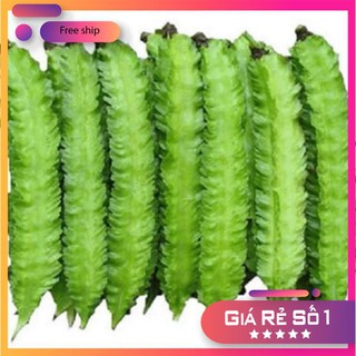 Hạt giống Đậu rồng (gói 10g)